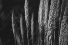 Load image into Gallery viewer, Lomography Babylon Cinema Black & White 35mm ISO 13 - 35mm Roll Film - 36 Exposures