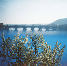 Load image into Gallery viewer, Lomography 400 Color Negative Film - 120 - 3 Pack