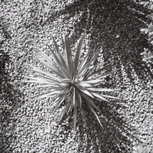 Load image into Gallery viewer, Nikon Nikkor 24mm f/2.8 AIS Lens - USED
