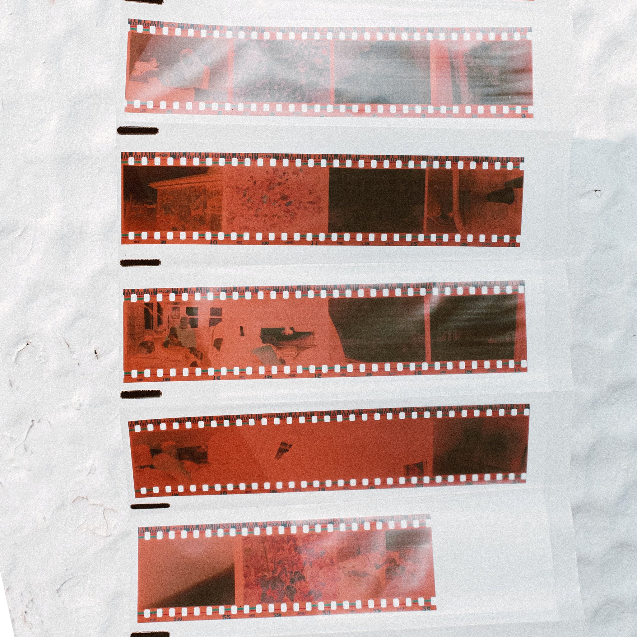 35mm Negative Strip Scans