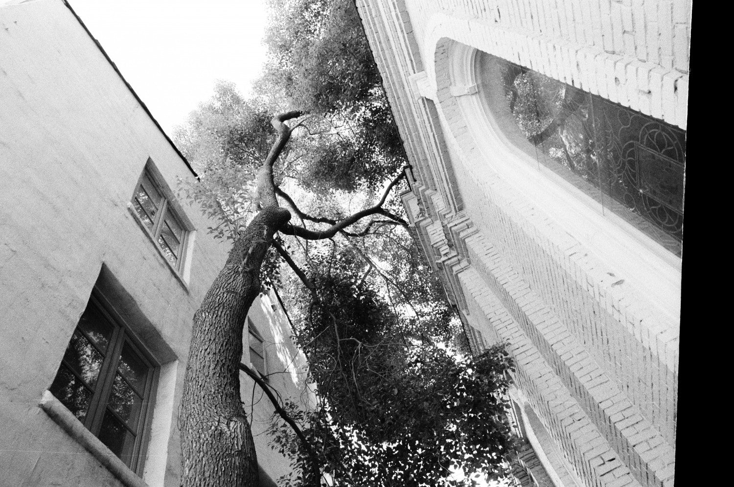 Lomography Develop Black And White Film At Home Lomography Black